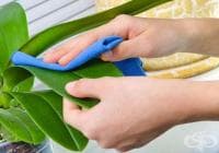 ������� ������� �� ������� �� ���������� � ����� � ����