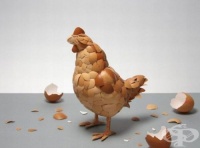 ������������ �� �� ������������� �� �������� ������� �� ���� � ���������