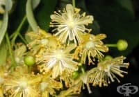 ������������ ������ � ���������� ������ �� ����