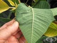 �� ������� ������� �� ��������� ������� ������ ��������� ��� ��������