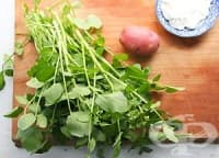 �� �� ���� ������������ �����, ����������� � ������ �������� � ������