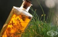 �� �� �������� ��������� � ����, ��������� ���������� � ������� ��������� ������������