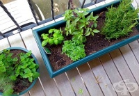 �� ����� �� �� ������� 8-�� �����, ����� ���� �� ���������� � ����?