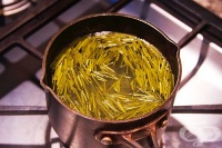 За пречистване на кръвоносните съдове пийте отвара от борови иглички