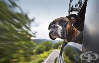 �������� ���������� �� ������ �� ����������� � ������� �� ����� ������