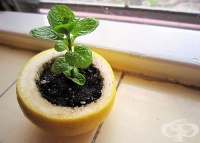 ��������� �� �������� � �������� ����