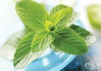 �������� ������ �� ������ � ����� �� �����