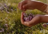 �������� ������ � ����� �� �������