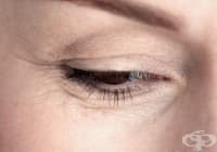 �������� �������� �� ������ � ����� �� ������, ������ � ����