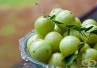 �������� �������� � ����� � ����