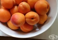 �������� �������� � ����� �� ���, �����, ������ � ��������