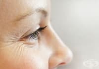 �������� �������� �� ������� � ������ �� ���, ������ � �������