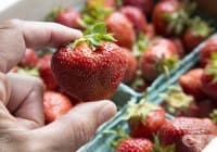 �������� �������� �� ������ � �����