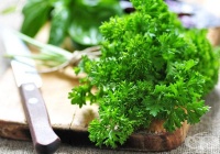 �������� �������� �� ������ � ��������