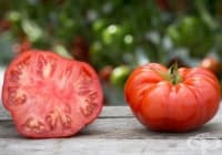 �������� ������� ������� ��� ����� � �����