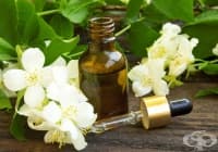 �������� ������� ������� ��� ����� � �������� ����� �� ������