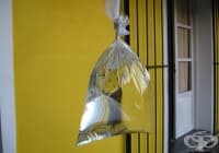 �������� ���� �� �� ������ ���� � ����� ��������