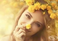 �������� ������ �� ���������� ���� ��� 7 ���� �����