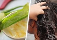 �������� ������ �� ���������� ���� � ���� � ������ ���