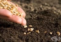 ��� �� ����� �������� ����� �� �������? 