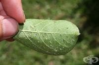 �������� ���������� �� ������ ����� � �����, ������� ��� �������