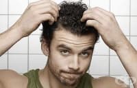 ���������� � ������������ ������� �� ������ � �������� �����