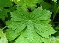 ��������� �������� ���������� � ����� �� �������