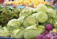 ������ �������� ����, �������� �������� �� ������