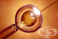 Финансово подпомагане на процедури и дейности по асистирана репродукция