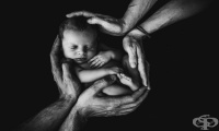 Организации и институции, ангажирани със закрилата на децата