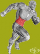 Тренировки за напреднали – корем