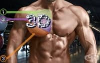 3D тренировка за гърди