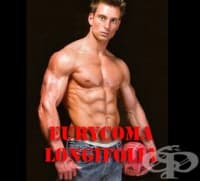 Еурикома лонгифолиа като спортна добавка