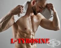 L-тирозин като спортна добавка