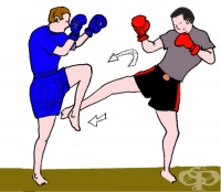 Лоу кик