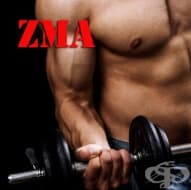 ZMA като спортна добавка