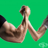 Истината за големите ръце