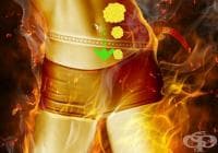 Тренировка за изгаряне на мазнини без бягане, само за 5 минути
