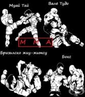 Смесени бойни изкуства (ММА)
