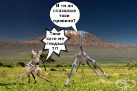 Правила за още по-ефективна тренировка за крака