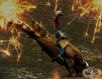 Езда на бикове