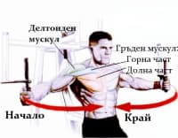 Тренировка за гърди на пек дек машина