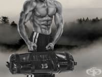 Ръководство за начинаещи за тренировка с пясъчна торба + бърза тренировка за 650 мускула в тялото