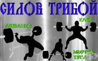 Силов трибой