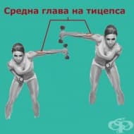 Странични трицепс екстензии