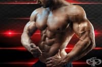 Тренировка със супер серии за гърди и бицепси