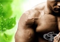 Тестостерон стимулиращи добавки в спорта (тестостеронови бустери)