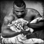 Тренировъчна програма на Майк Тайсън