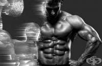 Тренировъчна програма за сила 5х5