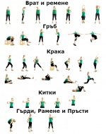 Загряване и разпускане на мускулите преди и след тренировка